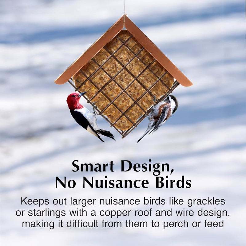 CS C&S Hanging Suet Basket with Roof for Wild Birds - Image 3